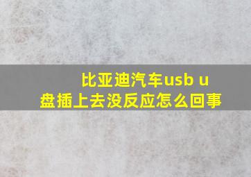 比亚迪汽车usb u盘插上去没反应怎么回事